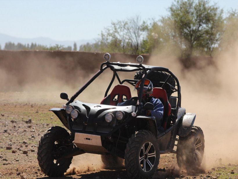 buggy (Copier)