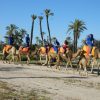 camel ride 65