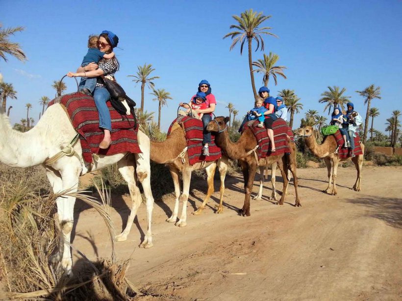 camel ride palm (Copier)