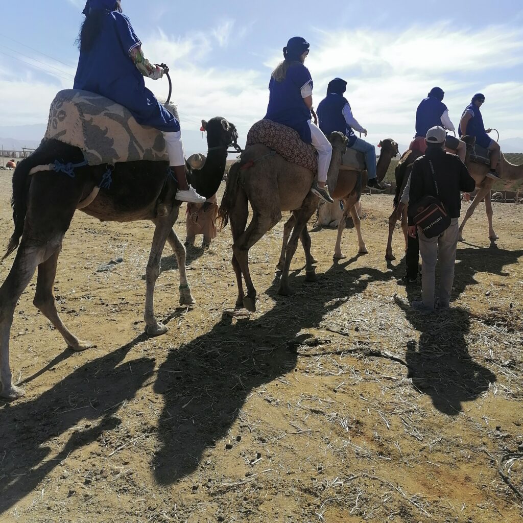 Agafay Desert Day Trip: Sunset Camel Rides, Quad Biking & Luxury Dinners