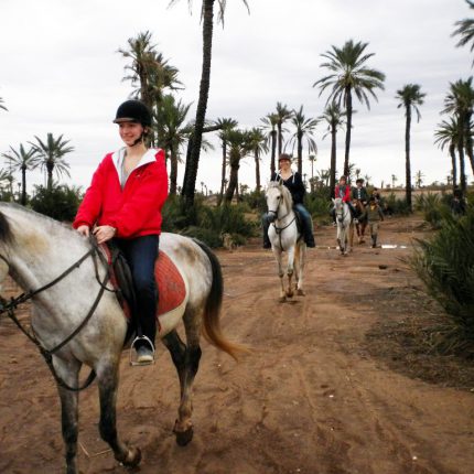 Balade à Cheval Prés De Marrakech - Demi Journée