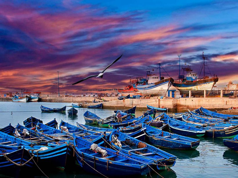 Essaouira-trip (Copier)
