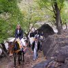 Imlil-excursion-
