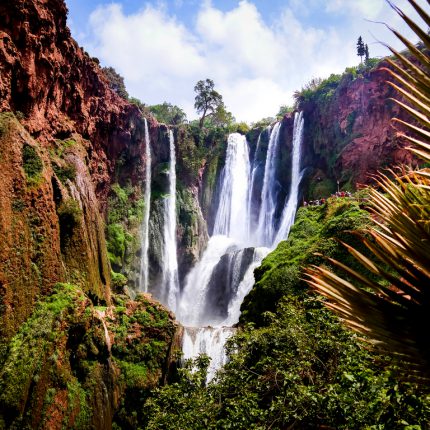 Excursion Àux Cascades D'Ouzoud Depuis Marrakech