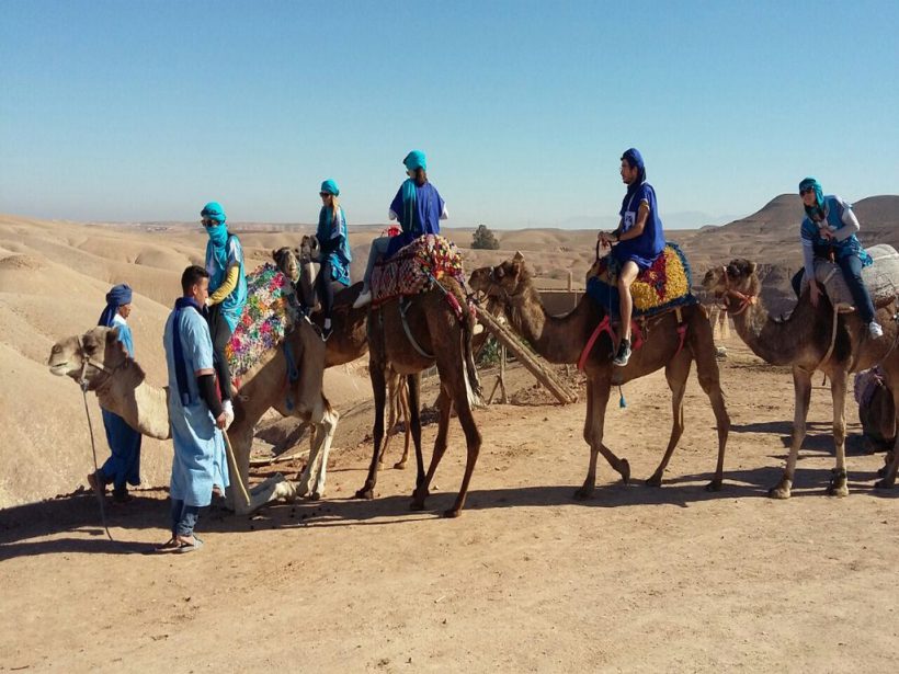 balade-dromadaire-desert-agafay (Copier)