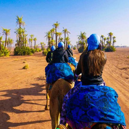 Balade En Chameau Au Coucher Du Soleil À La Palmeraie De Marrakech