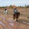 ob_3ef747_marrakech-80 (Copier)