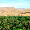 palmeraie-draa-grand-sud-zagora-brt-1492699998 (2)