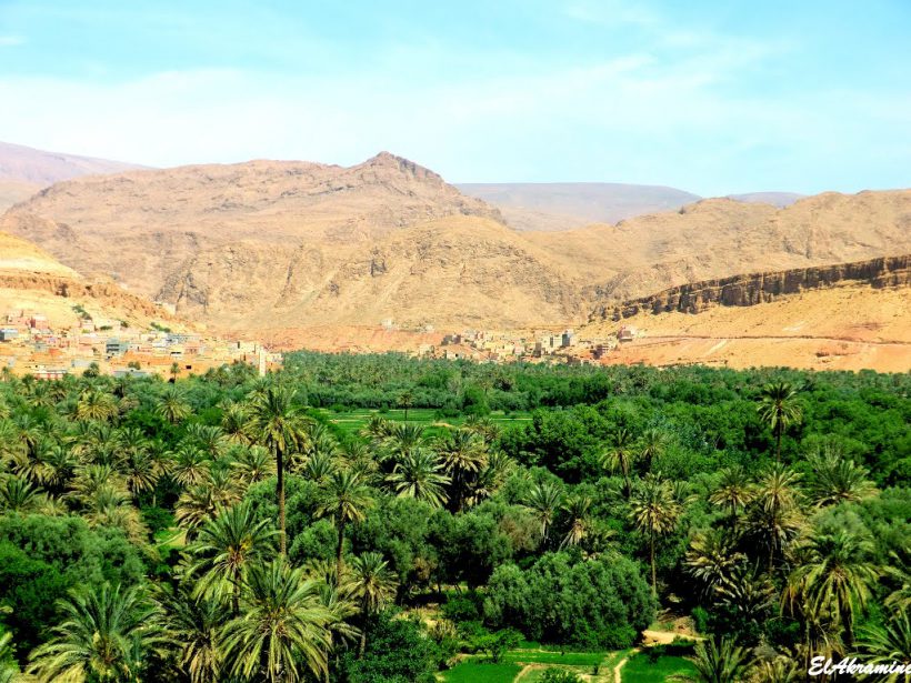 palmeraie-draa-grand-sud-zagora-brt-1492699998 (2)