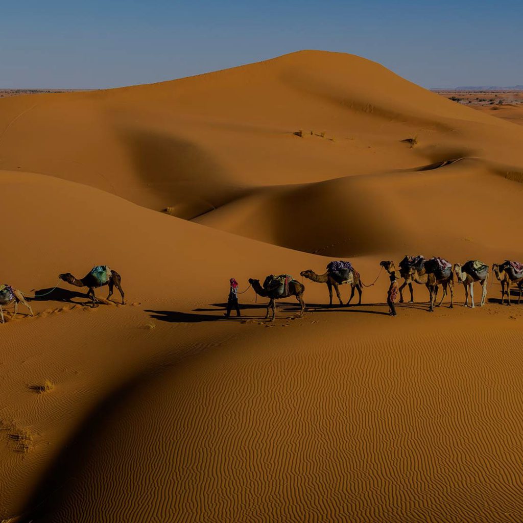 How to Travel from Marrakech to Fes via the Sahara Desert